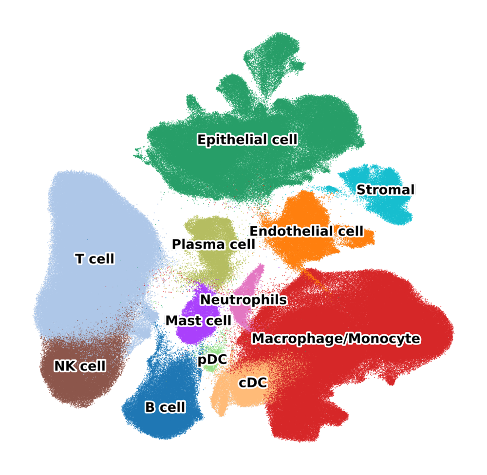 Atlas overview UMAP